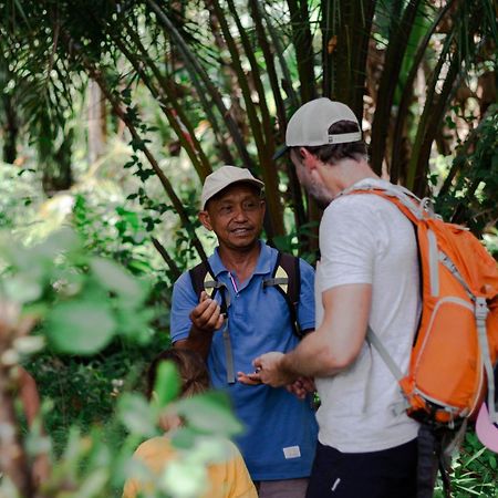 Ambow Homestay Jungle Trekking & Village Tour Bukit Lawang Exteriör bild