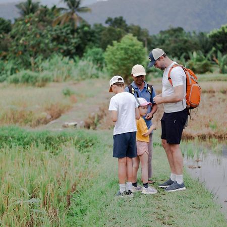 Ambow Homestay Jungle Trekking & Village Tour Bukit Lawang Exteriör bild