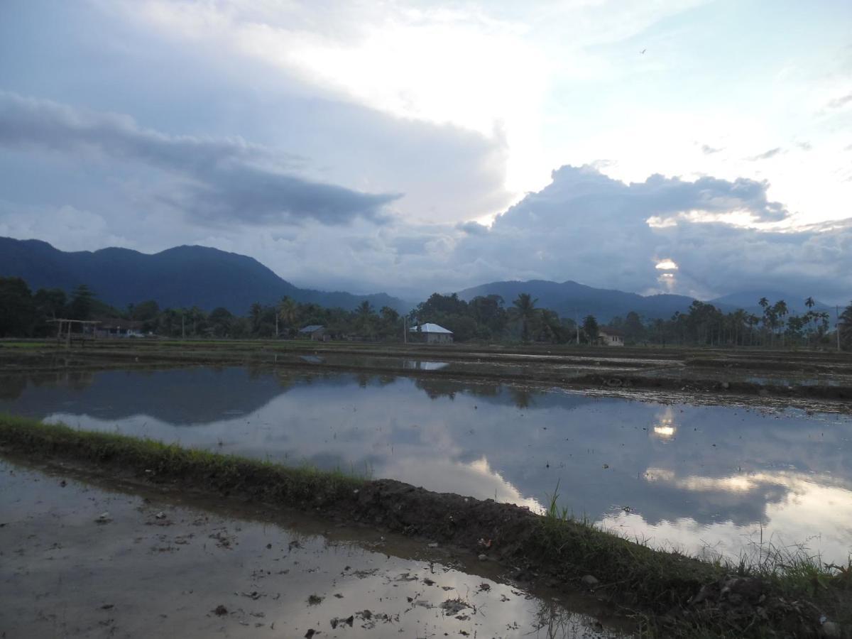 Ambow Homestay Jungle Trekking & Village Tour Bukit Lawang Exteriör bild