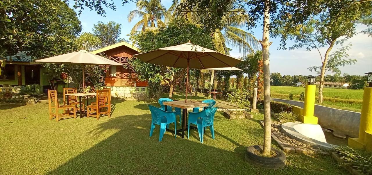 Ambow Homestay Jungle Trekking & Village Tour Bukit Lawang Exteriör bild