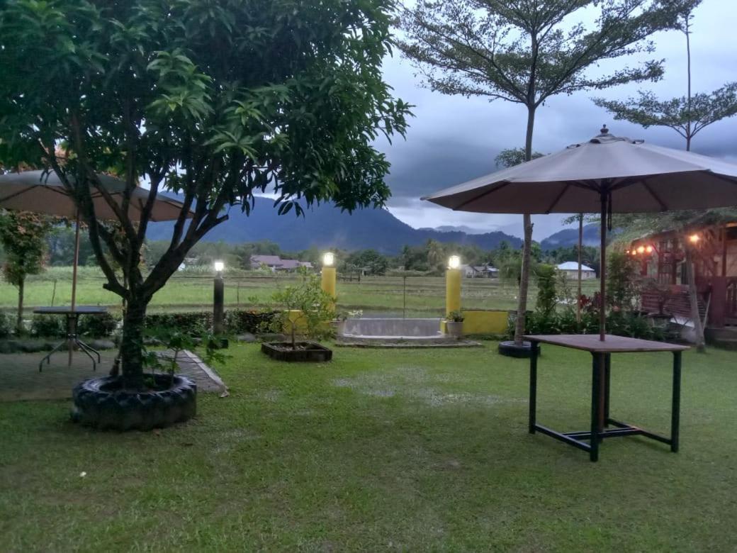 Ambow Homestay Jungle Trekking & Village Tour Bukit Lawang Exteriör bild