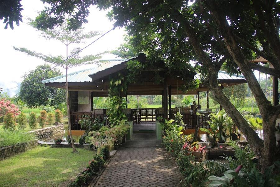 Ambow Homestay Jungle Trekking & Village Tour Bukit Lawang Exteriör bild