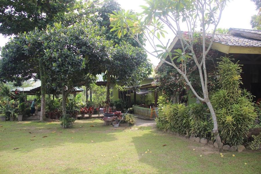 Ambow Homestay Jungle Trekking & Village Tour Bukit Lawang Exteriör bild