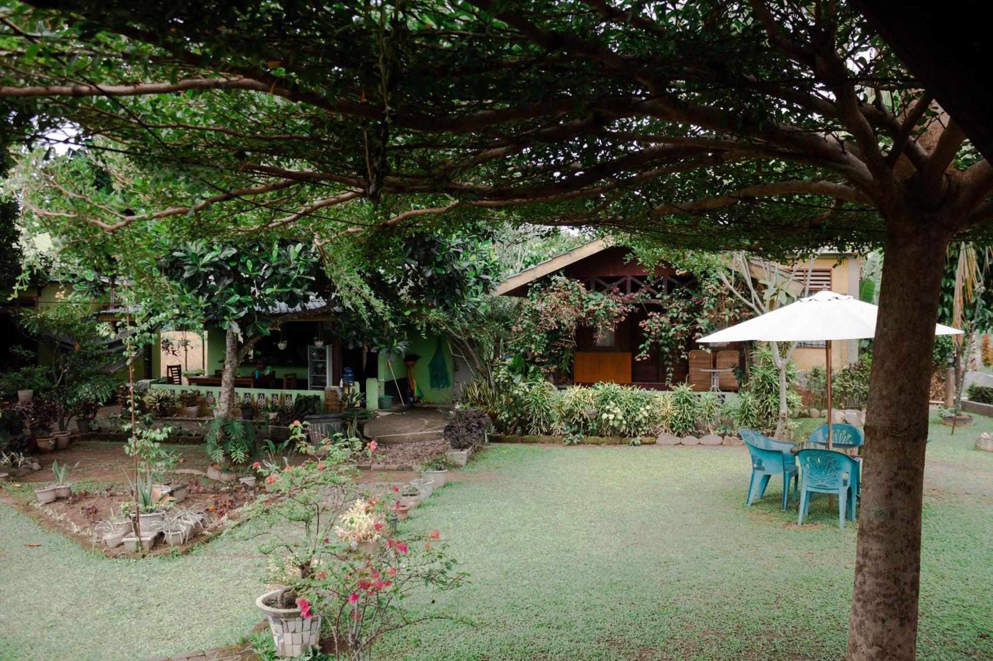 Ambow Homestay Jungle Trekking & Village Tour Bukit Lawang Exteriör bild