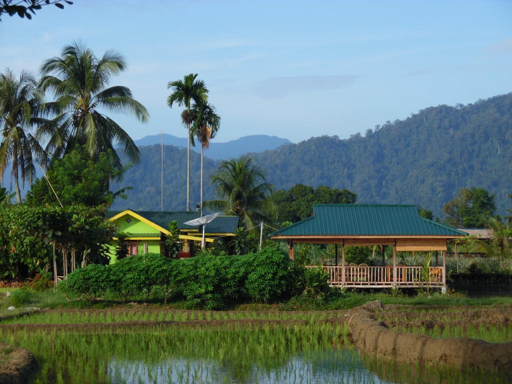 Ambow Homestay Jungle Trekking & Village Tour Bukit Lawang Exteriör bild