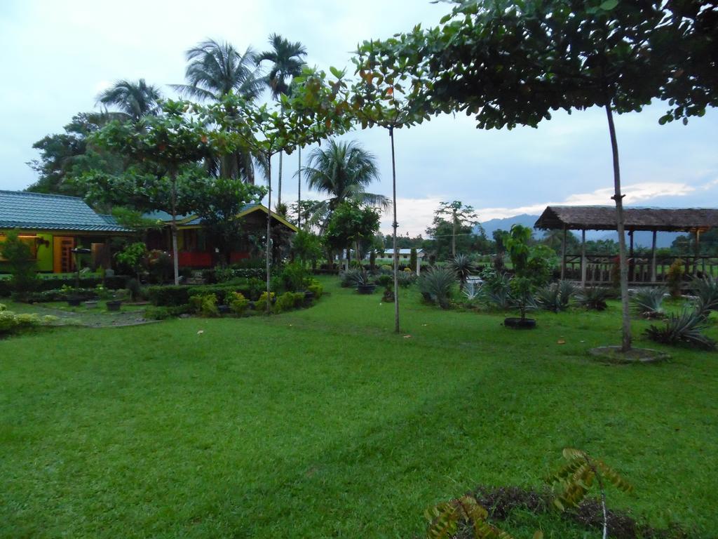 Ambow Homestay Jungle Trekking & Village Tour Bukit Lawang Exteriör bild