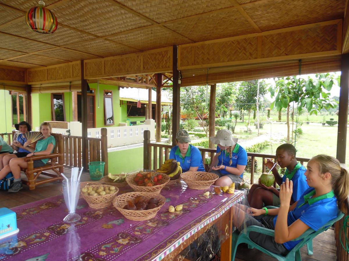 Ambow Homestay Jungle Trekking & Village Tour Bukit Lawang Exteriör bild