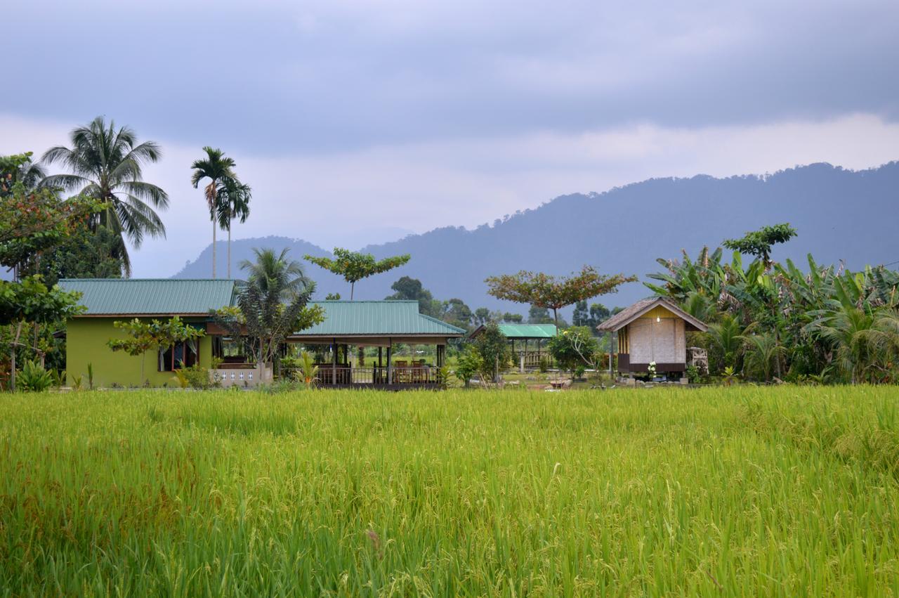 Ambow Homestay Jungle Trekking & Village Tour Bukit Lawang Exteriör bild