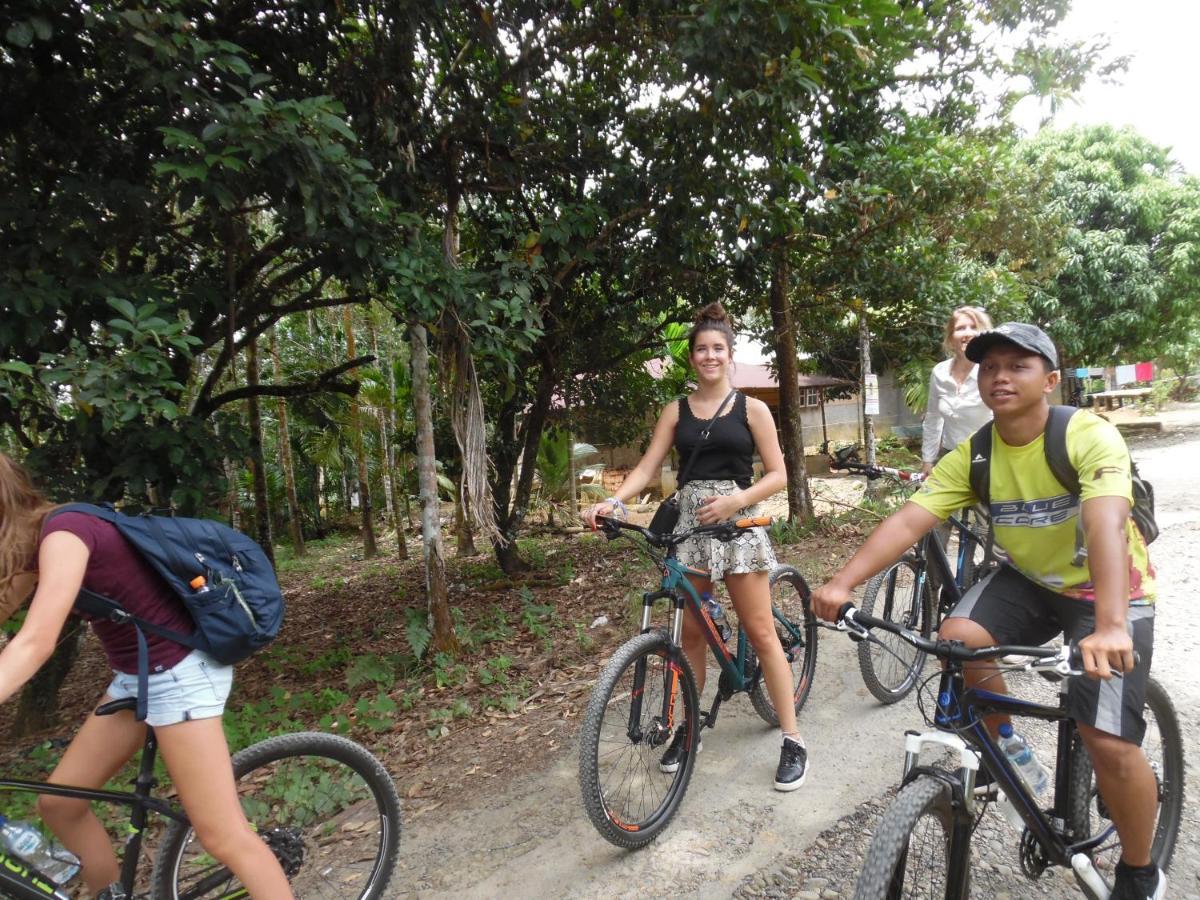 Ambow Homestay Jungle Trekking & Village Tour Bukit Lawang Exteriör bild