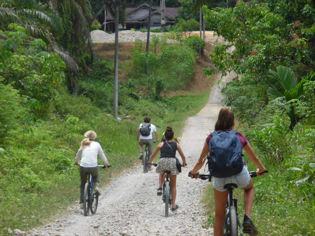 Ambow Homestay Jungle Trekking & Village Tour Bukit Lawang Exteriör bild