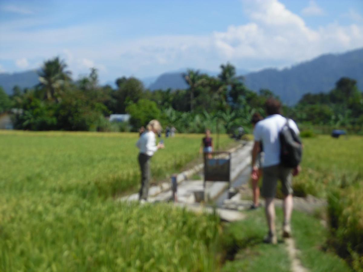 Ambow Homestay Jungle Trekking & Village Tour Bukit Lawang Exteriör bild