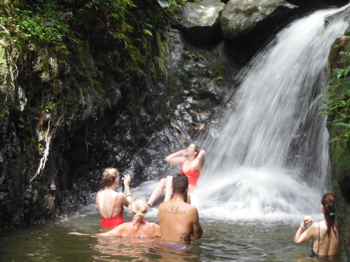 Ambow Homestay Jungle Trekking & Village Tour Bukit Lawang Exteriör bild